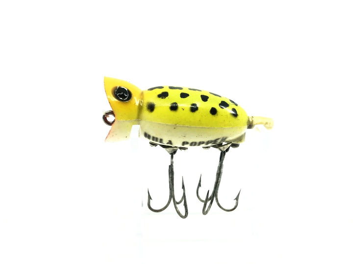 Arbogast Hula Popper Frog