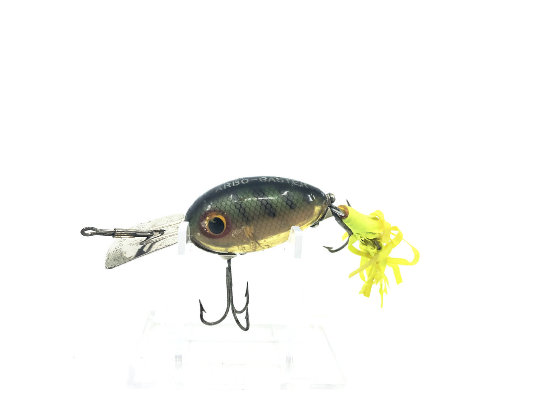 Arbogast Arbo-Gaster Perch Color