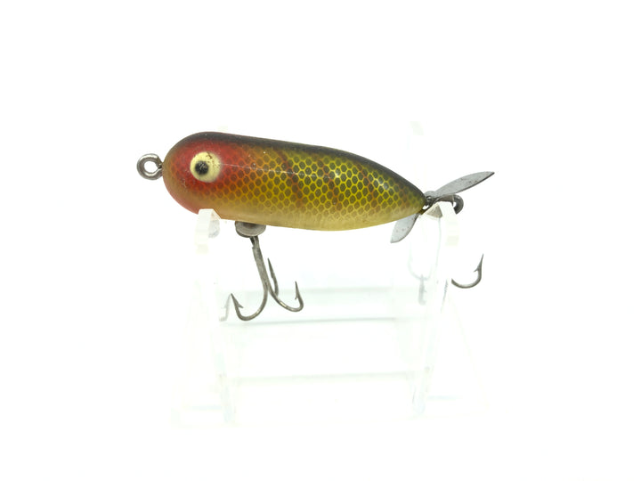 Heddon Tiny Torpedo Perch Color