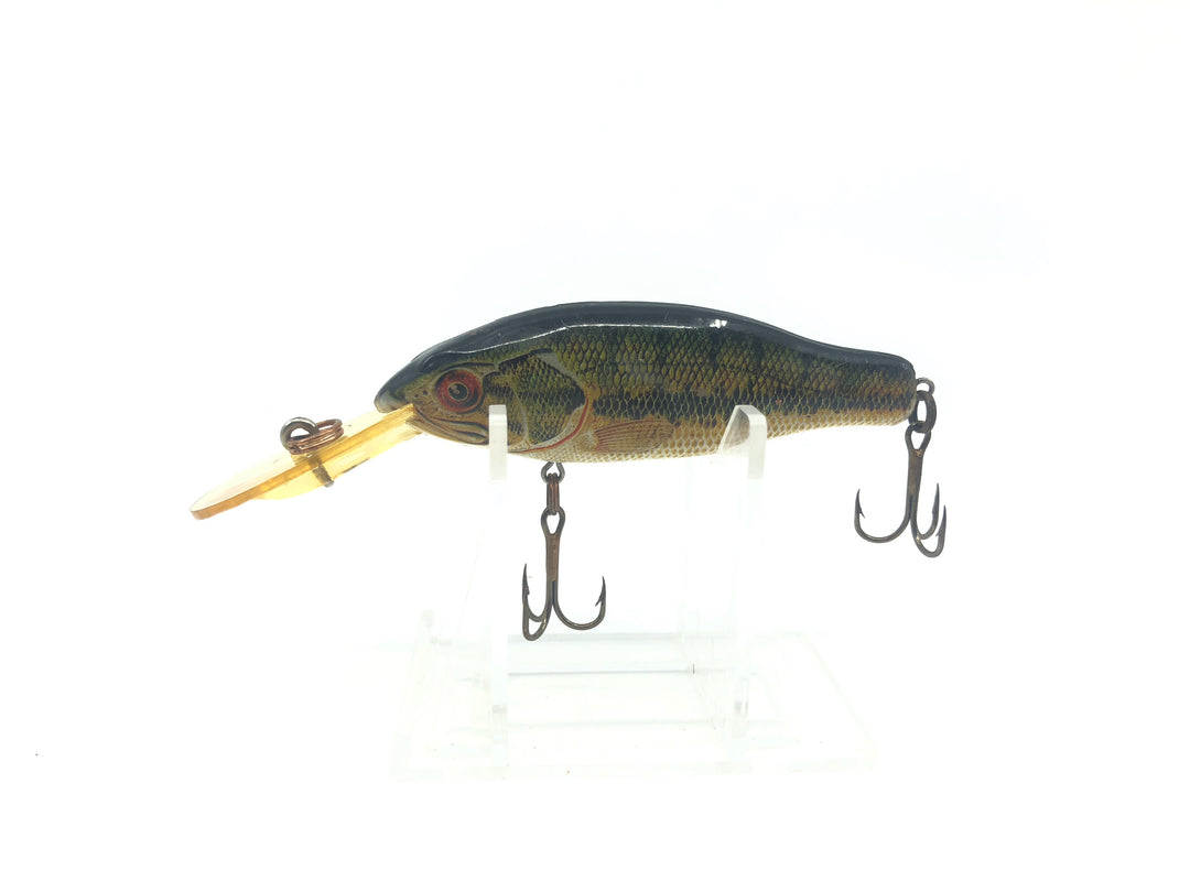 Rebel Baitfish Series Bass