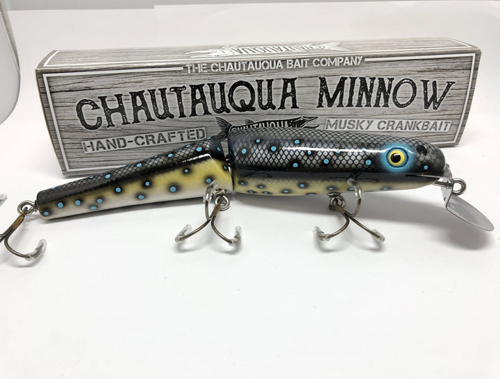 Jointed Chautauqua 8" Minnow Musky Lure Special Order Color "Artic Dace"