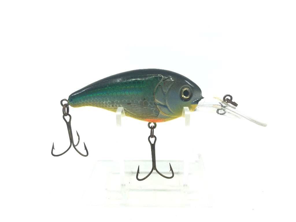 Rainbow Crankbait