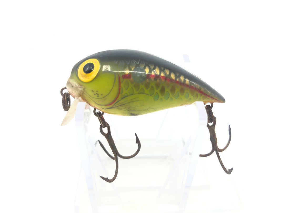 Storm Sub Wart Bluegill Pattern