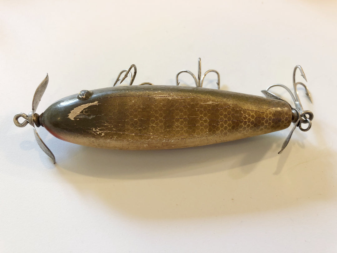 Creek Chub Injured Minnow Tack Eye