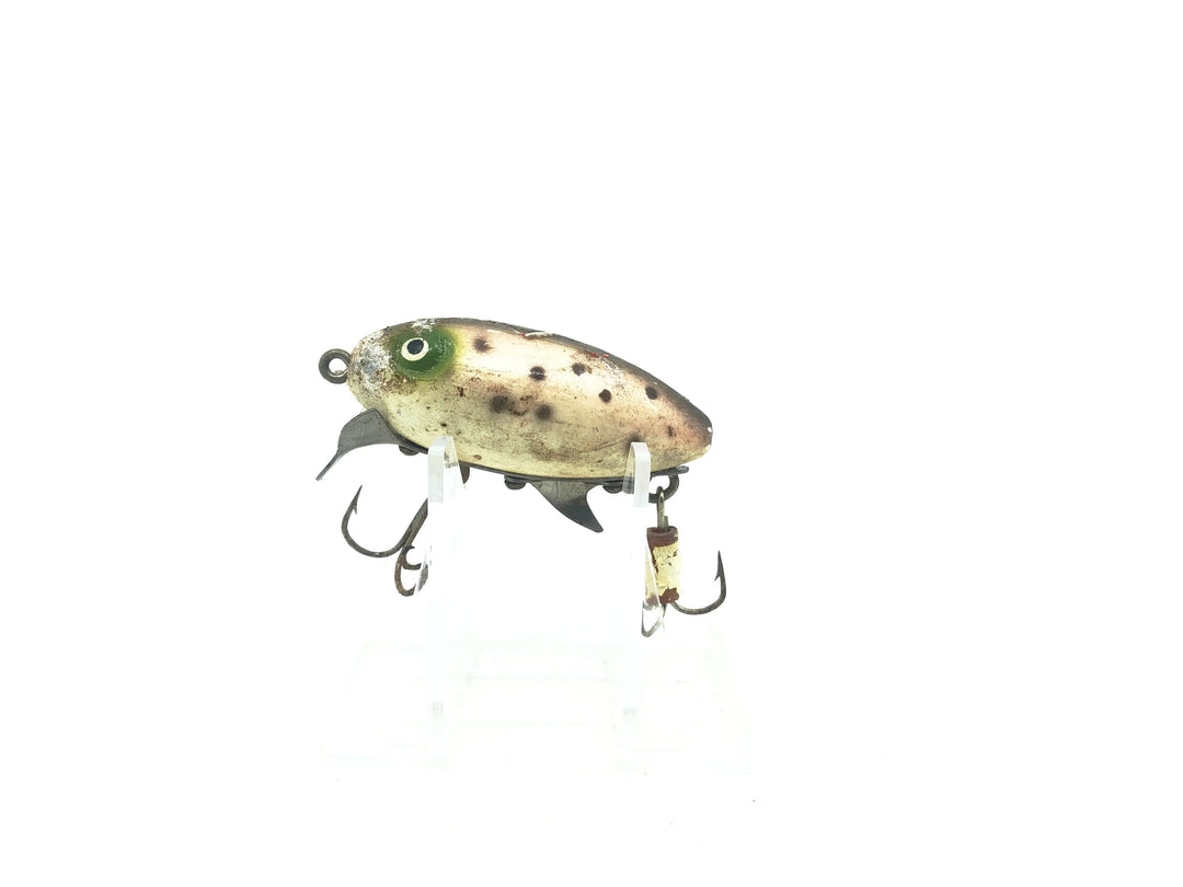 Clark's Water Scout Rainbow Trout Color