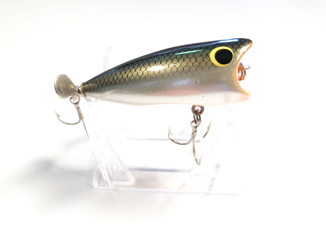 Bagley Pop'N B-2 Lure in a Nice Color