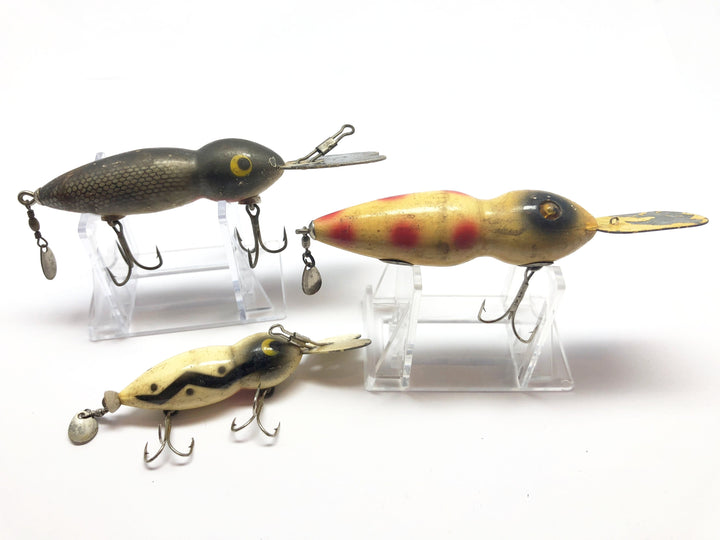 Lot of Three Hellbenders or Waterdogs