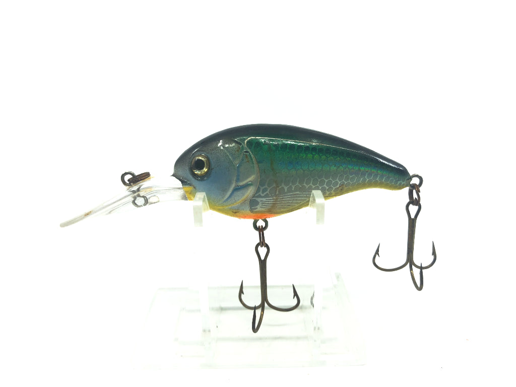 Rainbow Crankbait