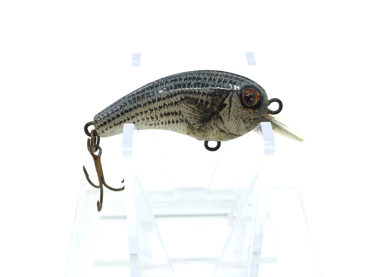 Cordell Big-O Small Size Striped Bass Color