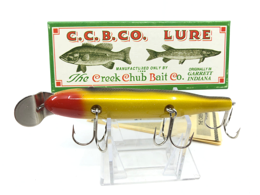 Creek Chub Pikie Golden Shiner Color Limited Edition