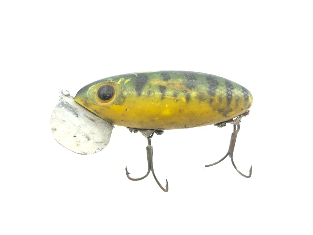 Warrior Arbogast Jitterbug Perch Color