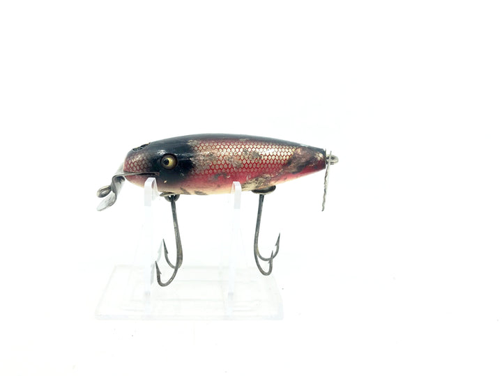 Creek Chub 800 Deluxe Wagtail Chub, 05 Red Side / Dace Color