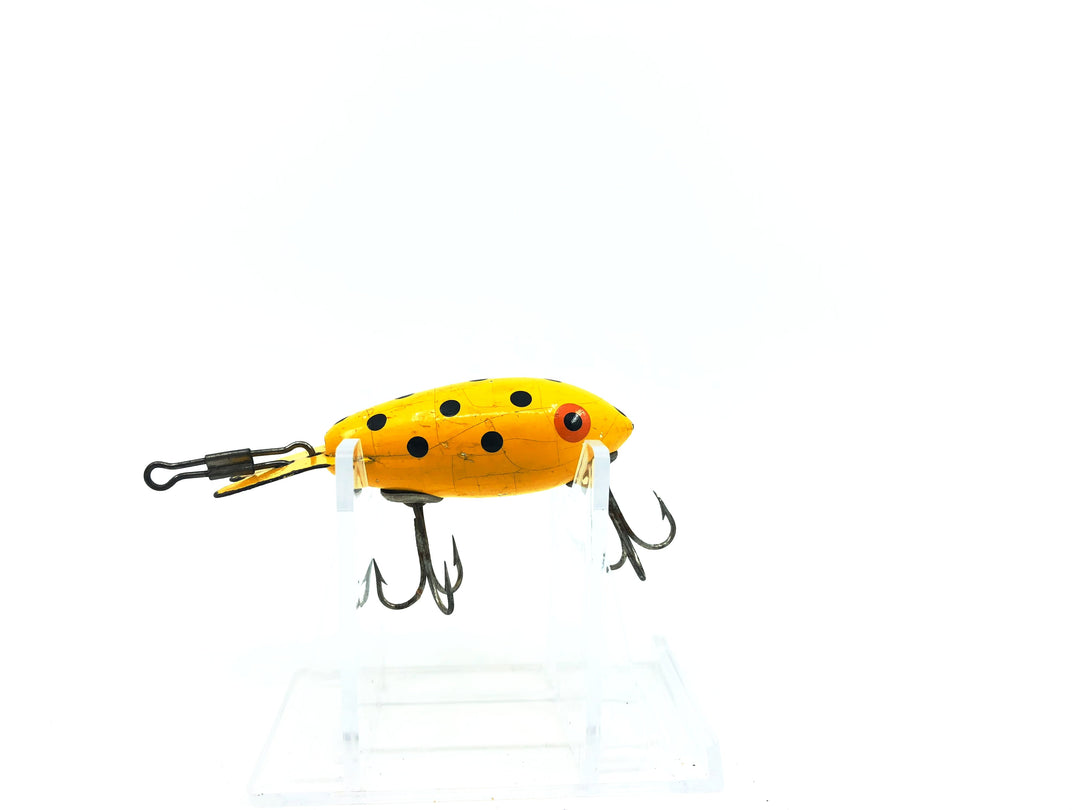 Wooden Bomber 200 Series 239 Yellow Black Dots Color