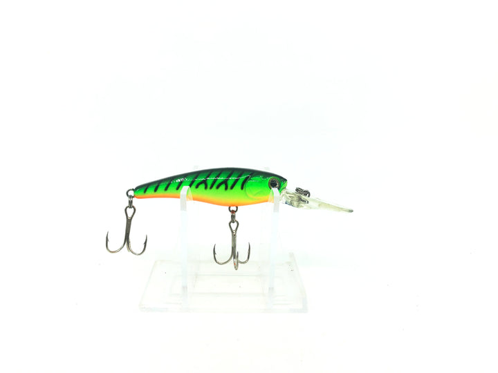 Gary Synder Minnow, Fire Tiger Color