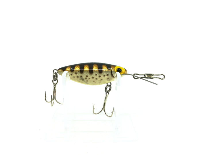 Storm Thin Fin Hot 'N Tot, H Series, H72 Brown Trout Color